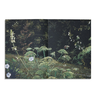OFF Magazine Issue 02 - US 7899